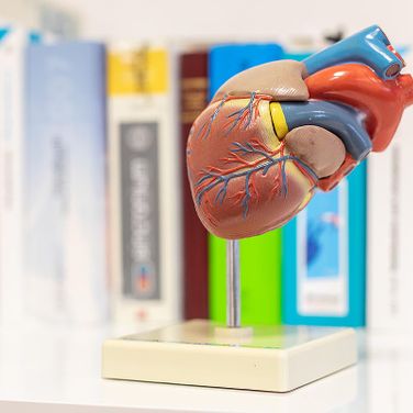 Impressionen aus der Praxis für Innere Medizin und Kardiologie in Wismar